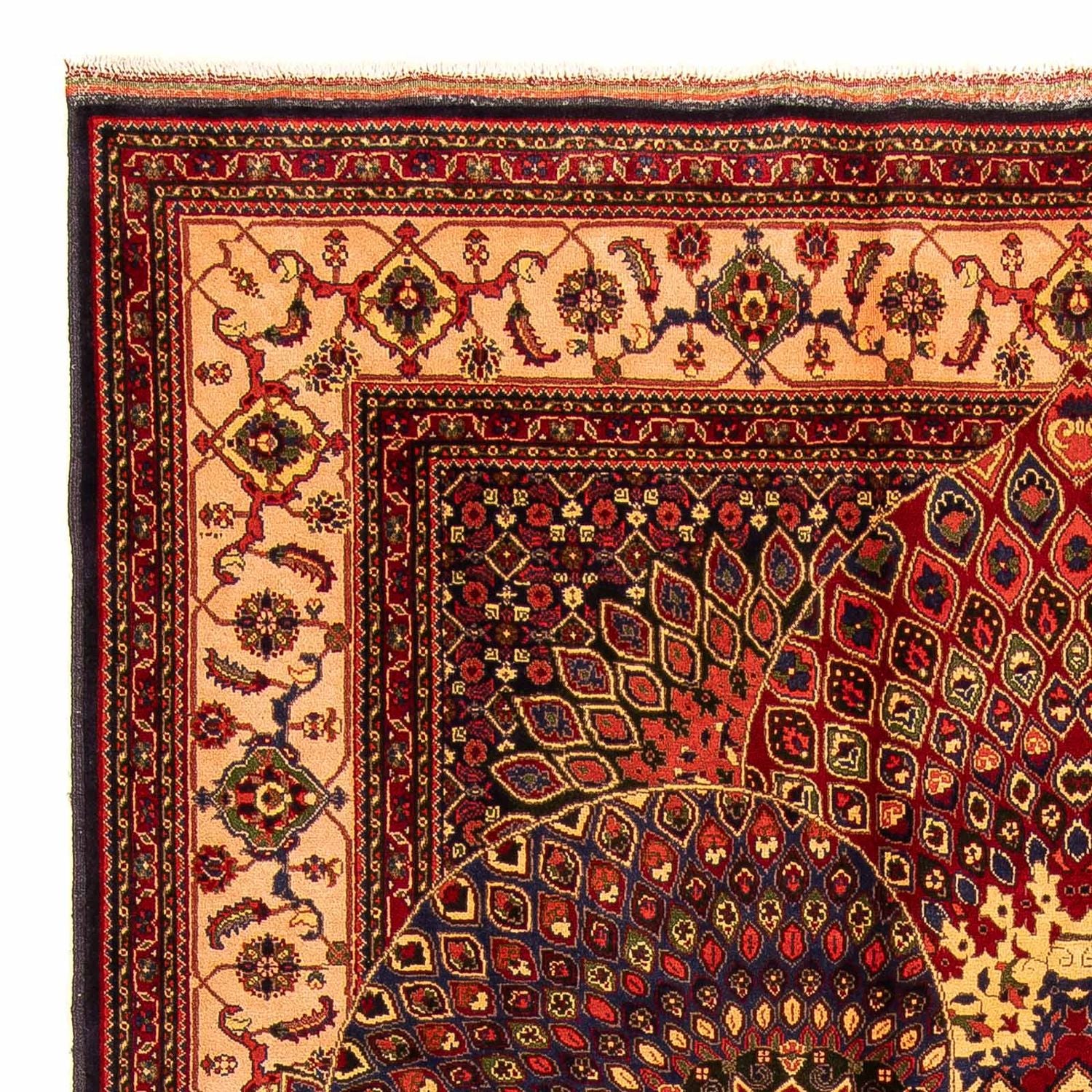 Tappeto afgano - 279 x 198 cm - multicolore