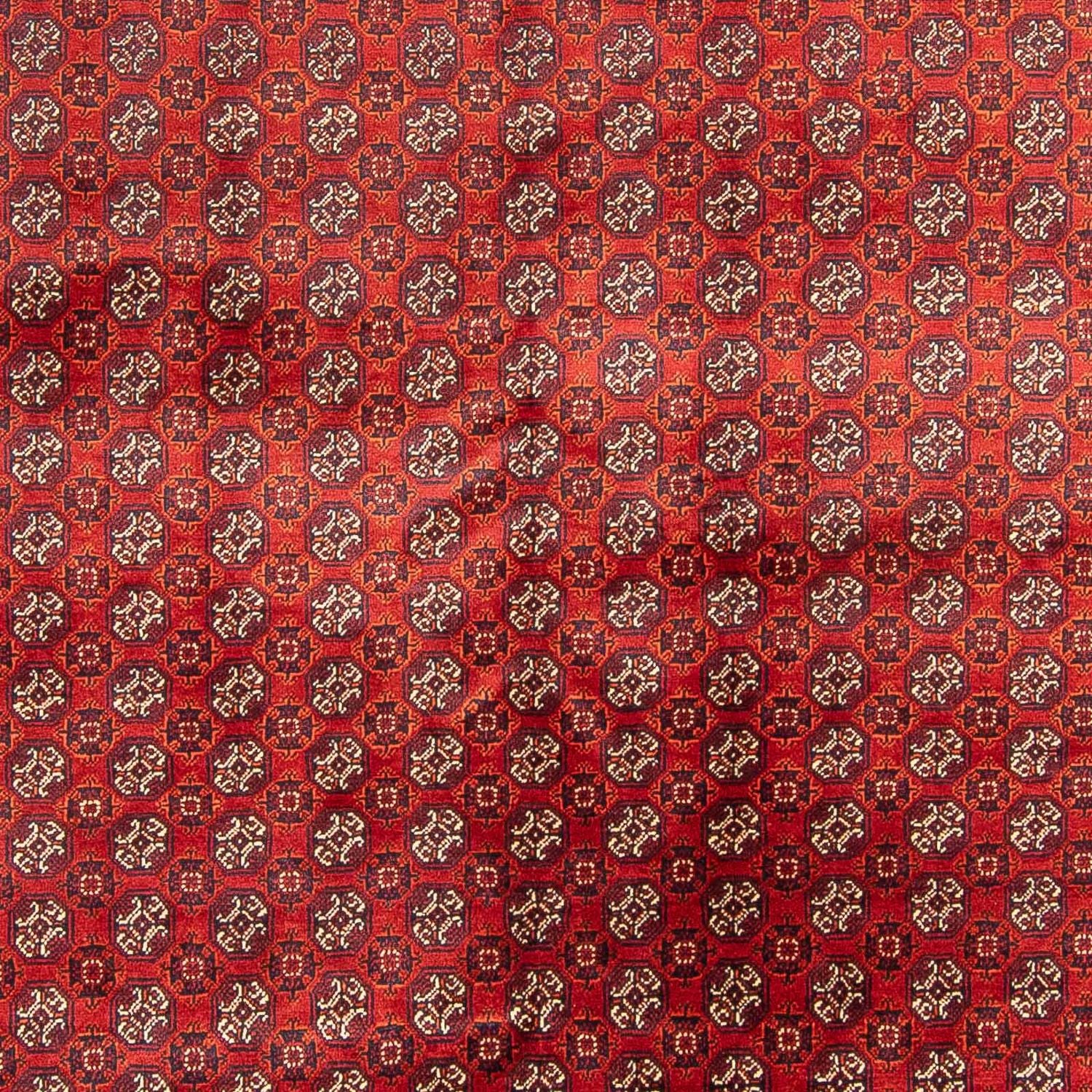 Tappeto afgano - Bukhara - 300 x 200 cm - rosso