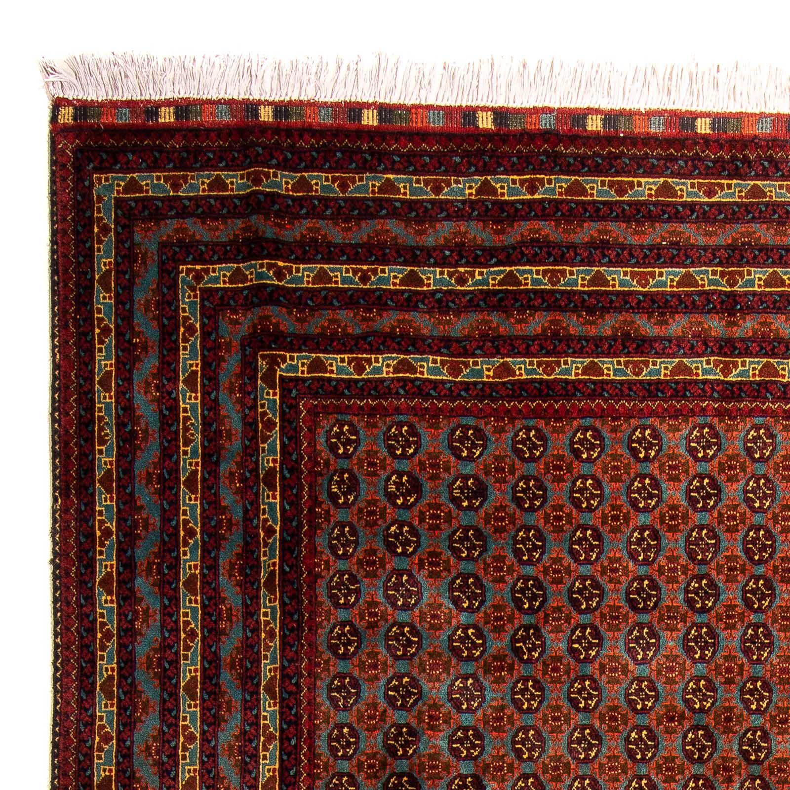 Tappeto afgano - Bukhara - 304 x 200 cm - multicolore