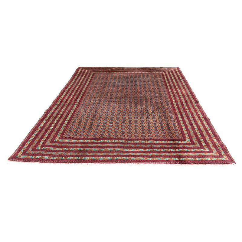 Tappeto afgano - Bukhara - 288 x 198 cm - multicolore
