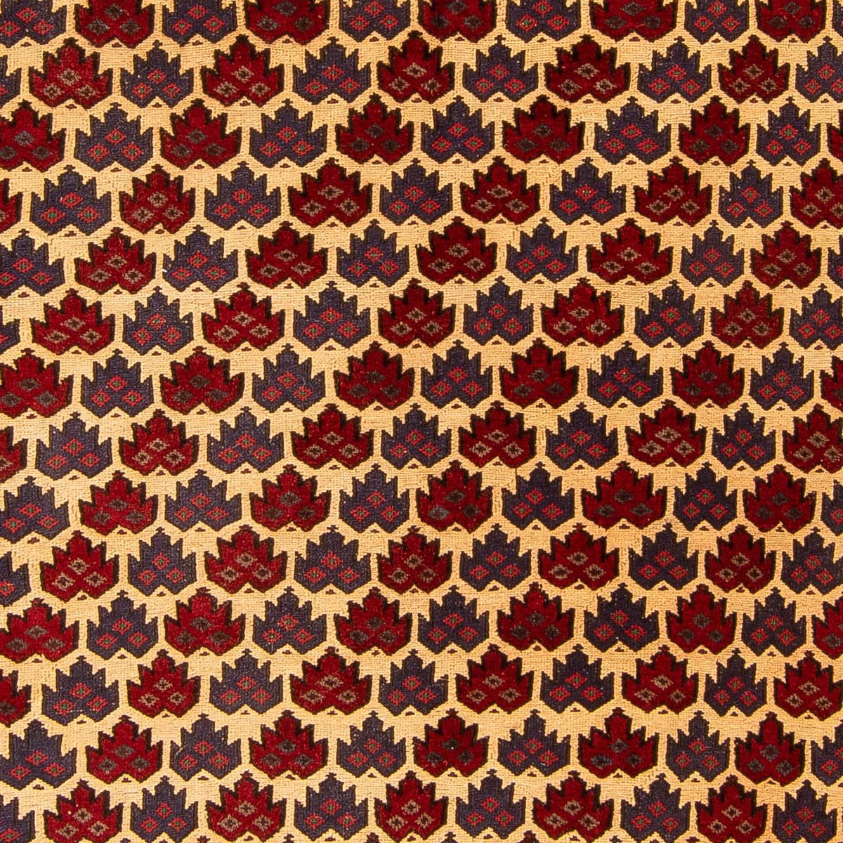 Tappeto Kelim - Orientale - 268 x 195 cm - multicolore