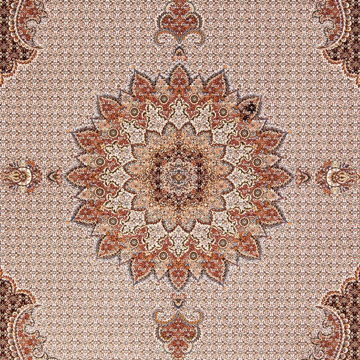 CR-G16-10-225x150