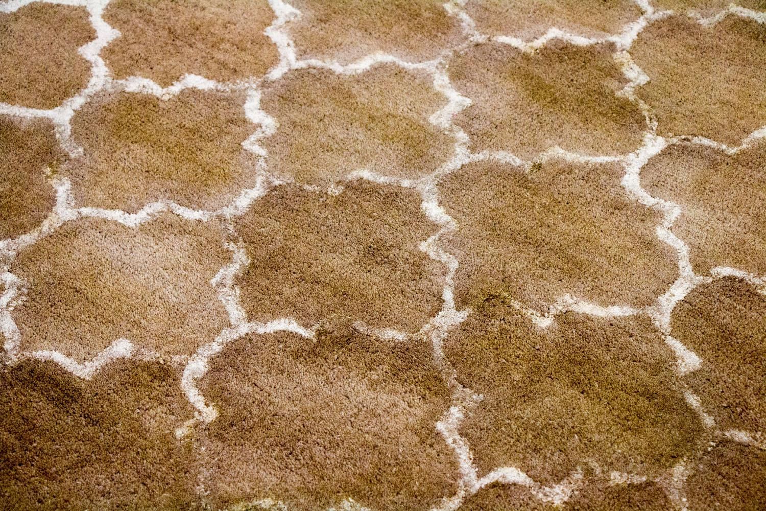 Tappeto di design - 230 x 162 cm - beige