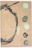 Tappeto di design - 179 x 121 cm - beige