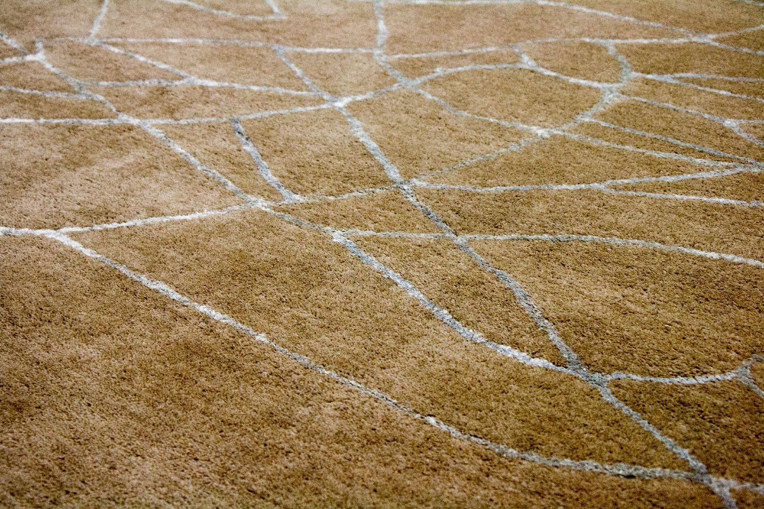 Tappeto di design - 243 x 150 cm - marrone