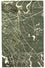 Tappeto di design - 243 x 154 cm - verde