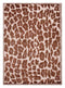 DP02-RUG1031074-240x150