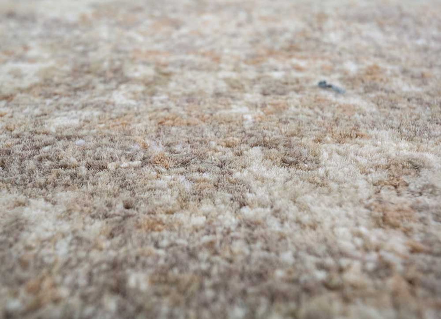 Tappeto - 300 x 240 cm - beige scuro
