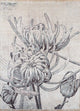 Tappeto di design 300x240cm - Designerteppich