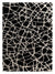 Bianco e nero