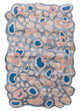 Tappeto di design 180x270cm - Designerteppich