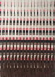 Tappeto di lana 240x150cm