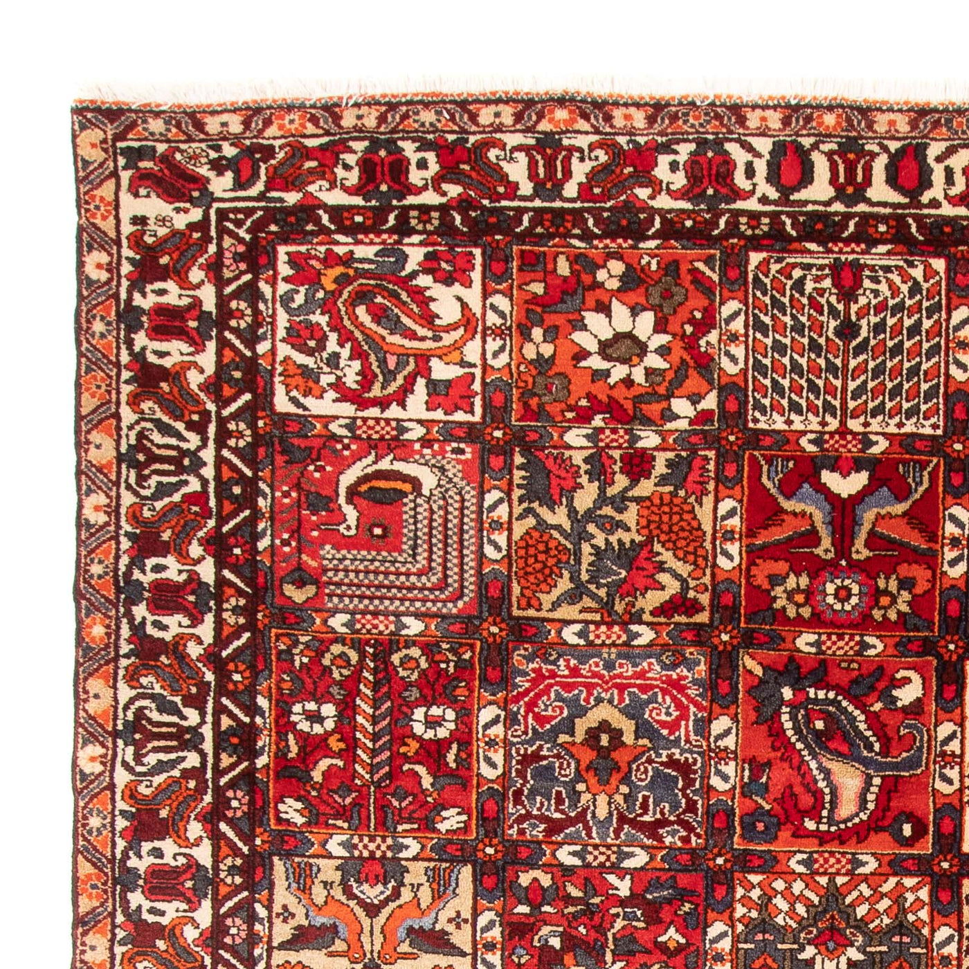 Bakhtiari Tappeto 306x201cm - Tappeto persiano