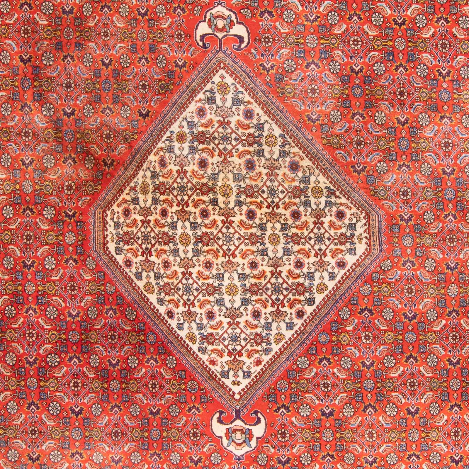 Tappeto Persero - Bidjar - 420 x 310 cm - terracotta