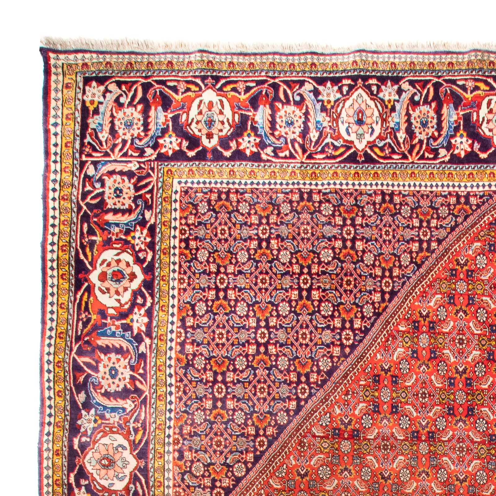 Tappeto Persero - Bidjar - 420 x 310 cm - terracotta