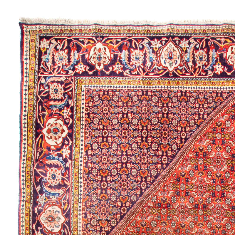 Tappeto Persero - Bidjar - 420 x 310 cm - terracotta
