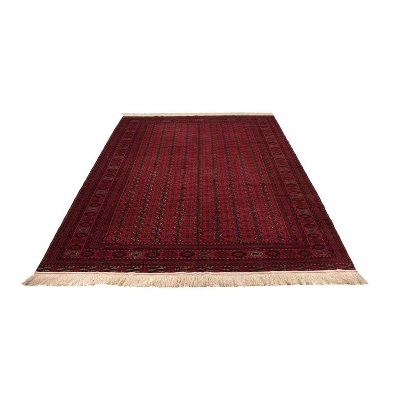 Tappeto afgano - Bukhara - 390 x 296 cm - rosso scuro