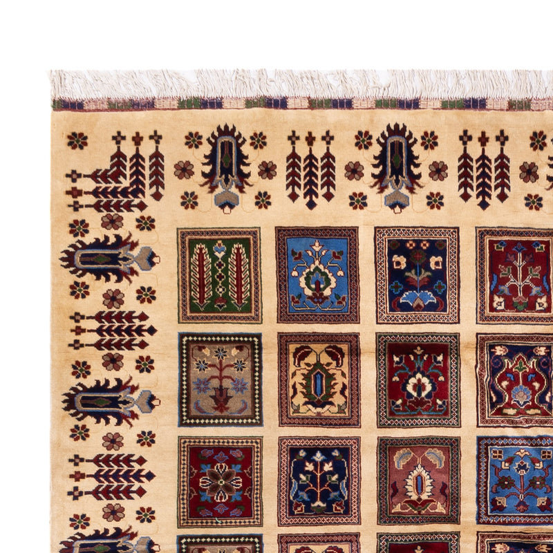 Tappeto afgano - 340 x 250 cm - multicolore