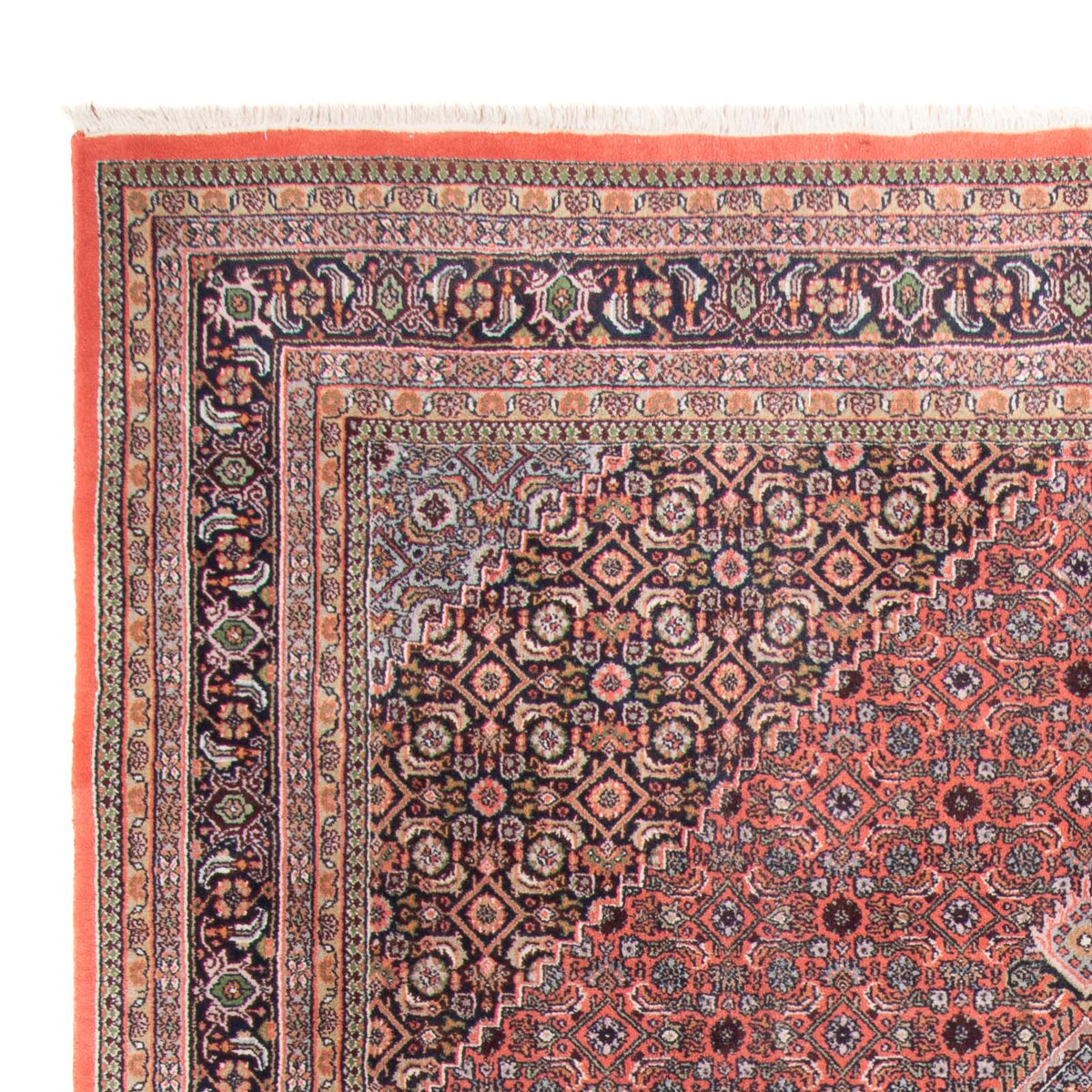 Tappeto orientale - Bidjar - Indo - 346 x 248 cm - rosso