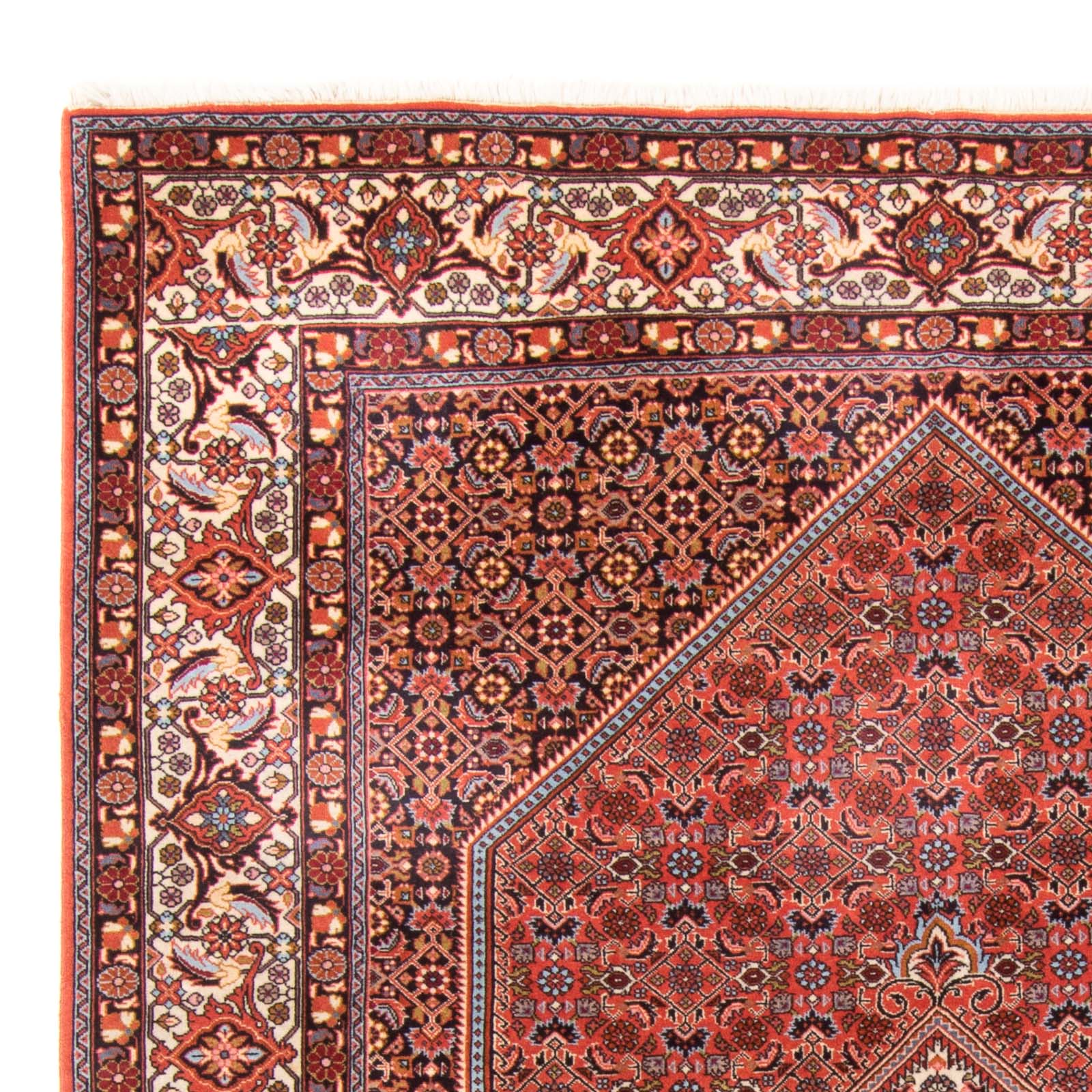 Tappeto Persero - Bidjar - 295 x 195 cm - rosso