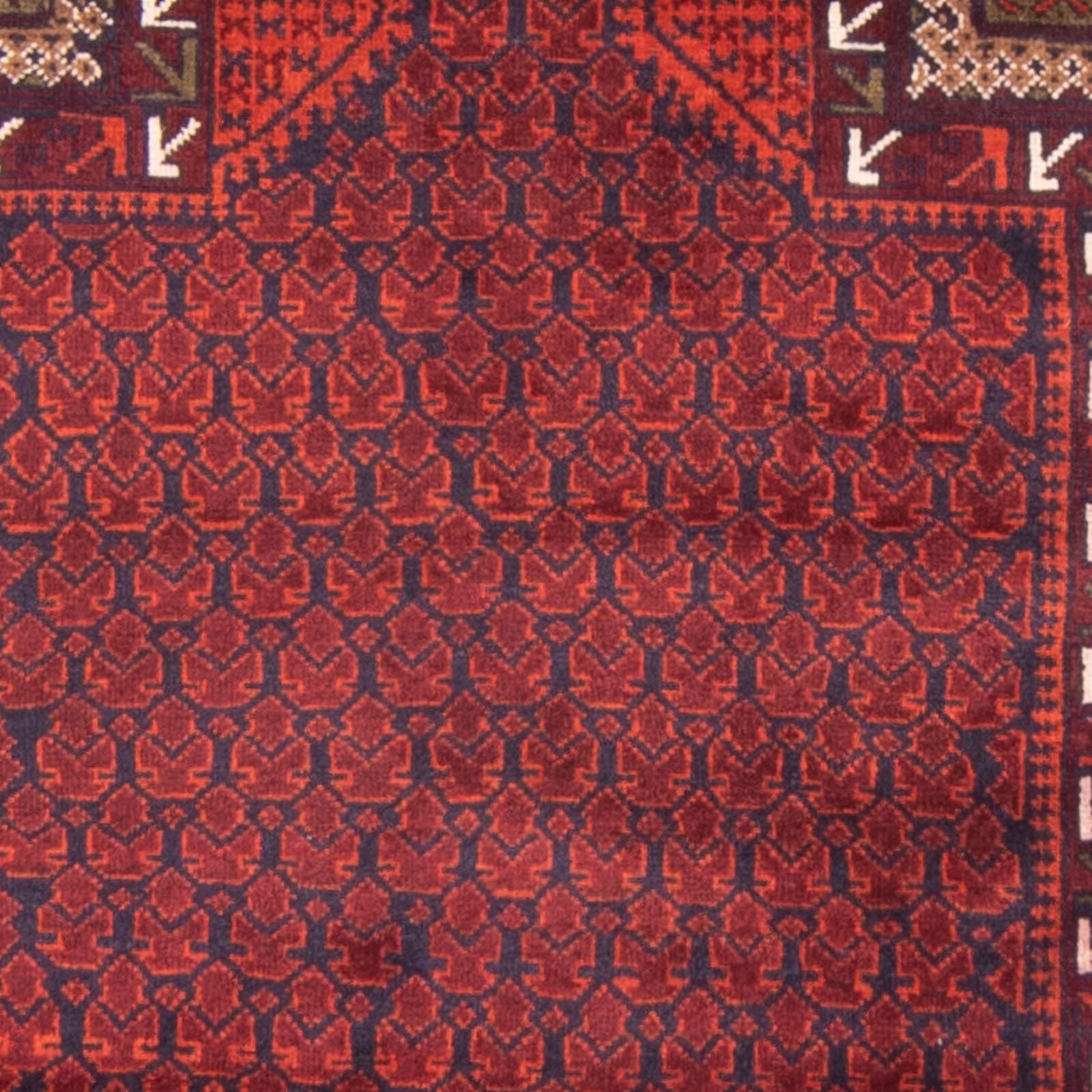 Tappeto Belutsch - Tappeto di preghiera - 150 x 96 cm - rosso
