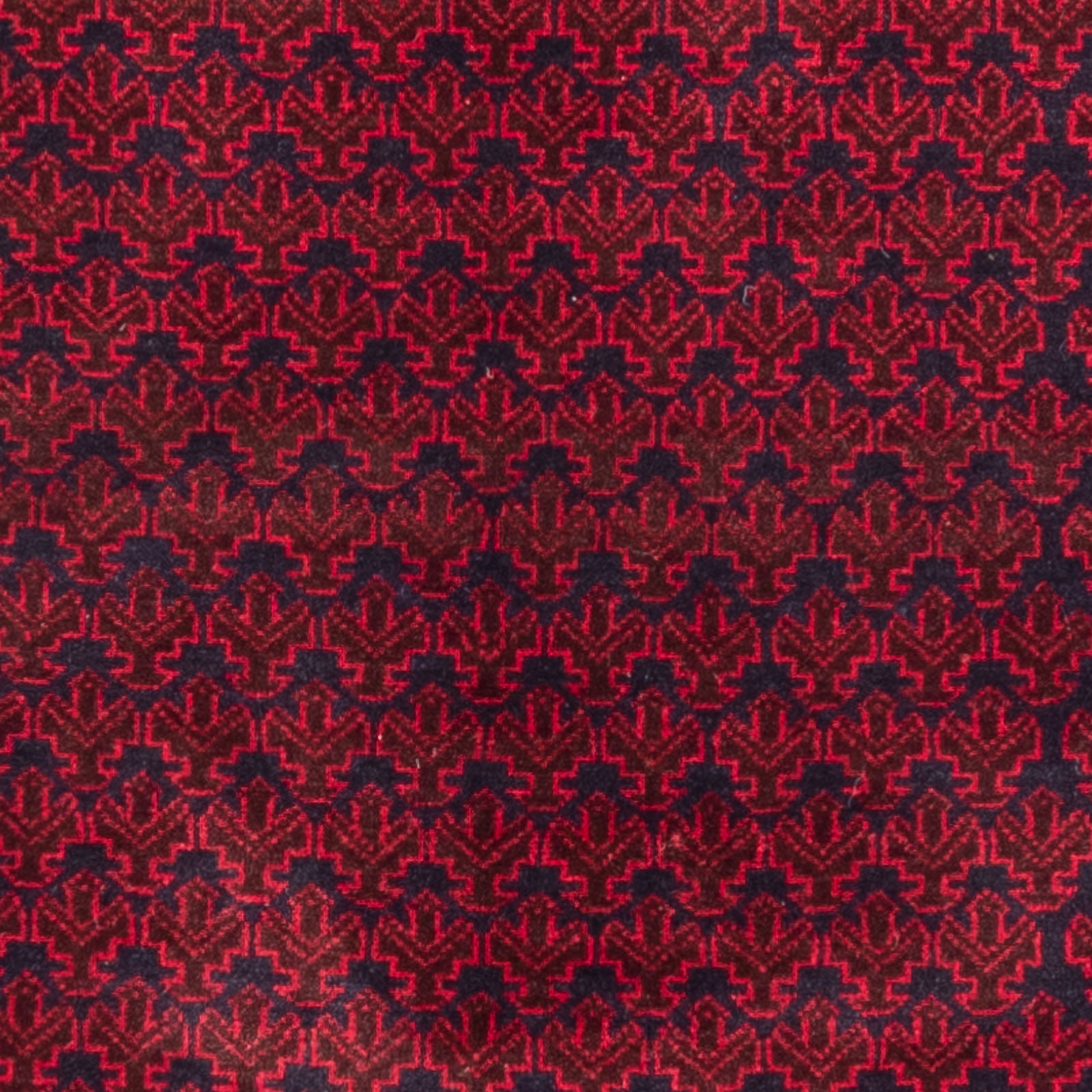 Tappeto Belutsch - Tappeto di preghiera - 142 x 89 cm - blu