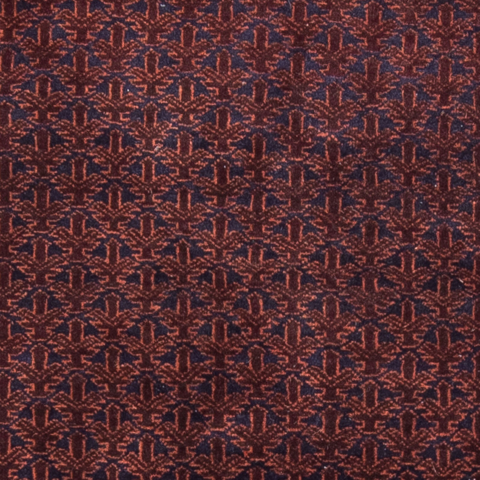 Tappeto Belutsch - Tappeto di preghiera - 146 x 96 cm - blu scuro
