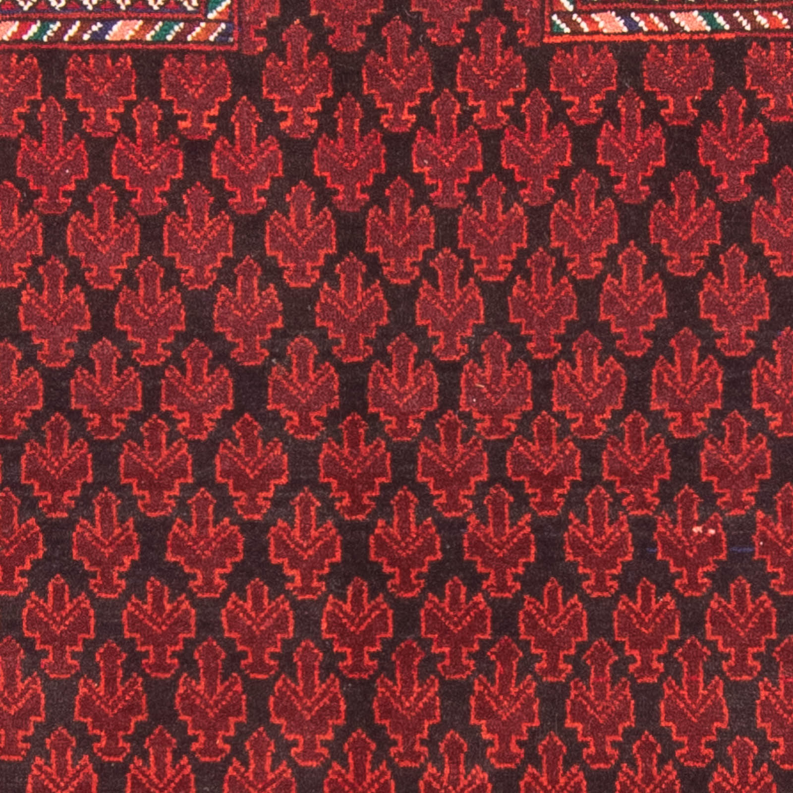Tappeto Belutsch - Tappeto di preghiera - 155 x 103 cm - rosso