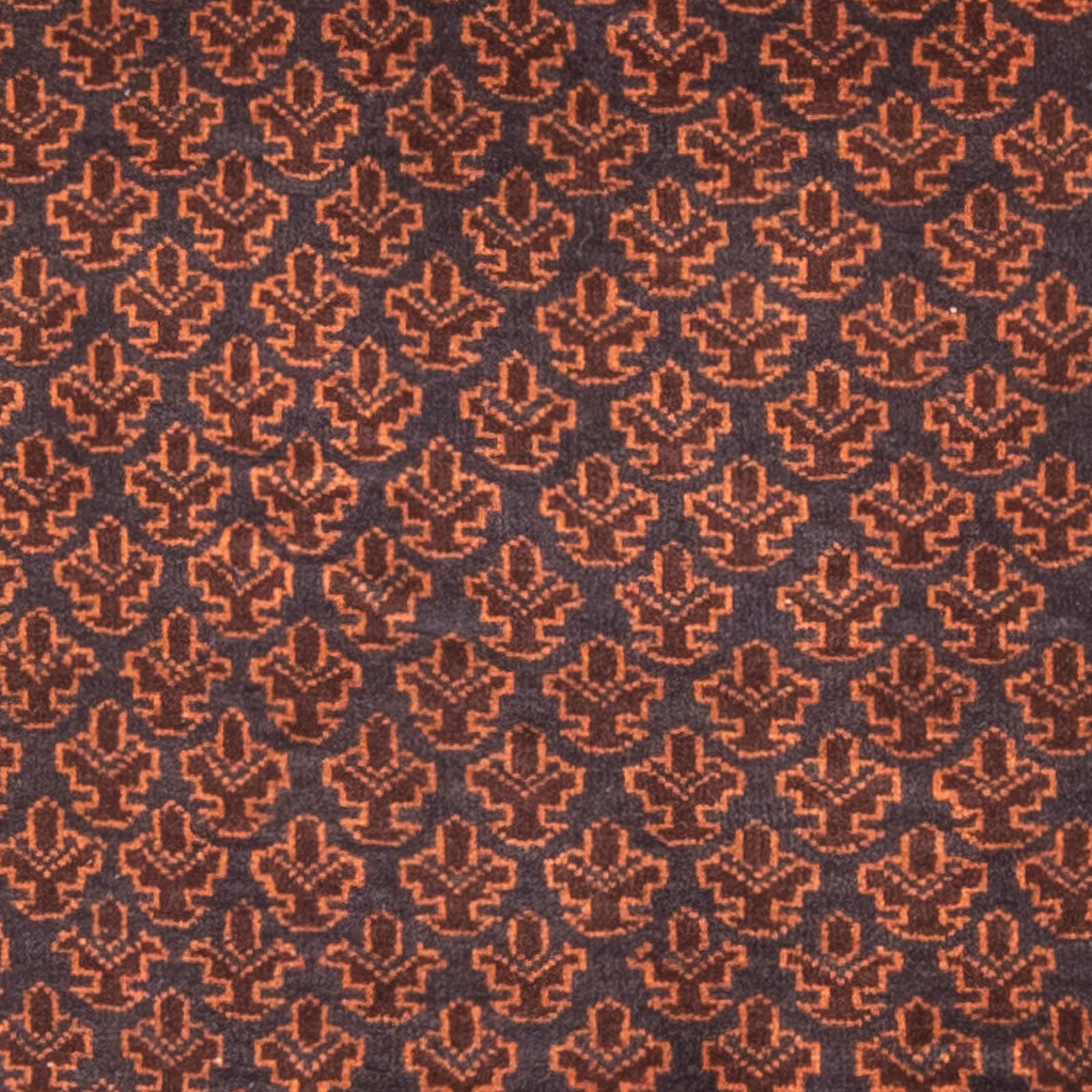 Tappeto Belutsch - Tappeto di preghiera - 147 x 91 cm - blu scuro