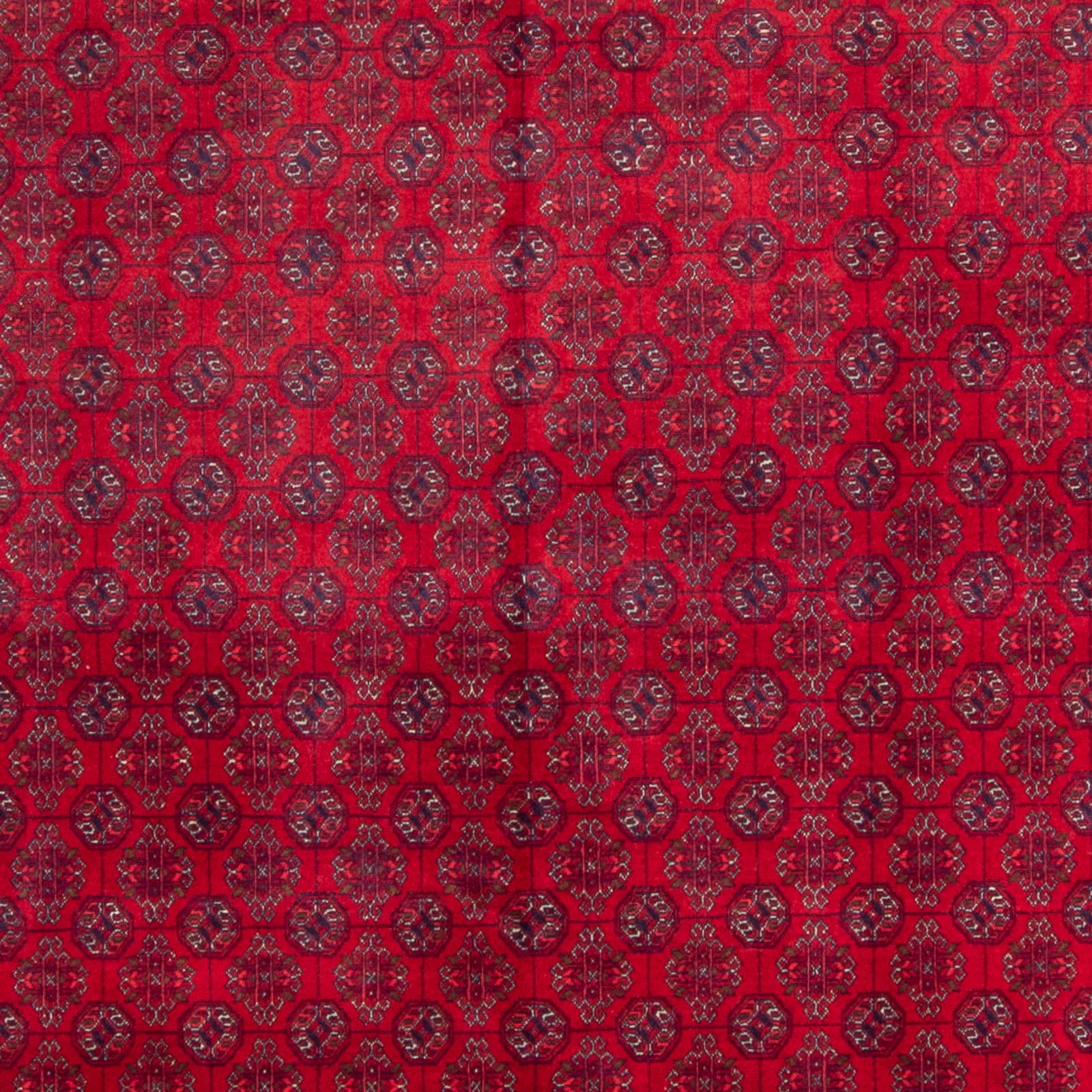 Tappeto afgano - Bukhara - 340 x 240 cm - rosso