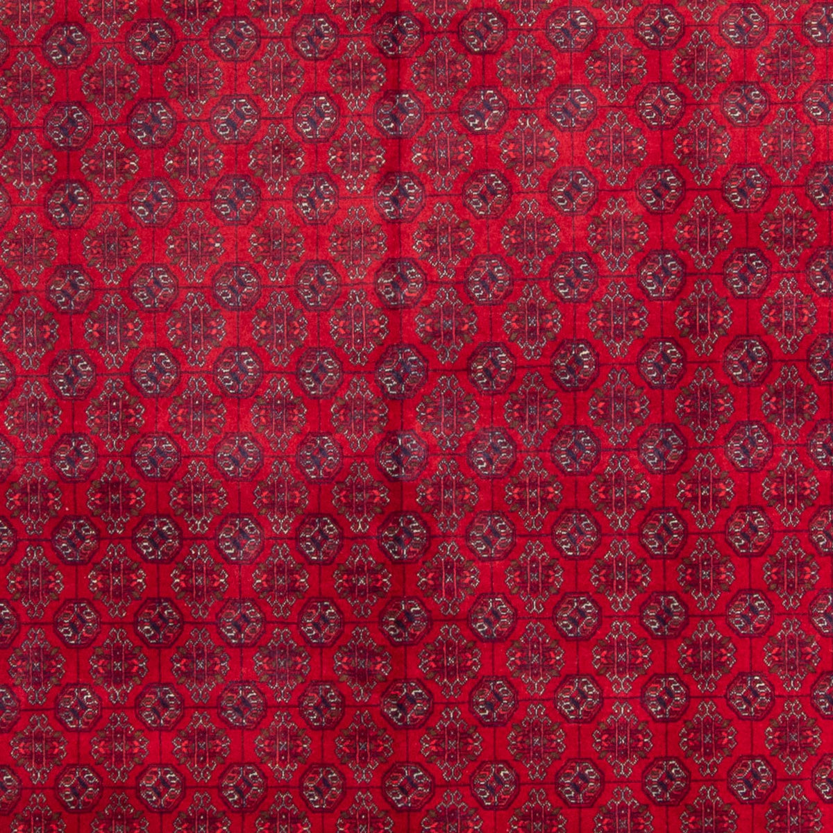 Tappeto afgano - Bukhara - 340 x 240 cm - rosso