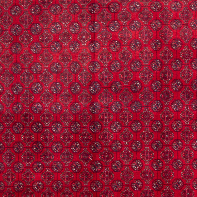 Tappeto afgano - Bukhara - 340 x 240 cm - rosso