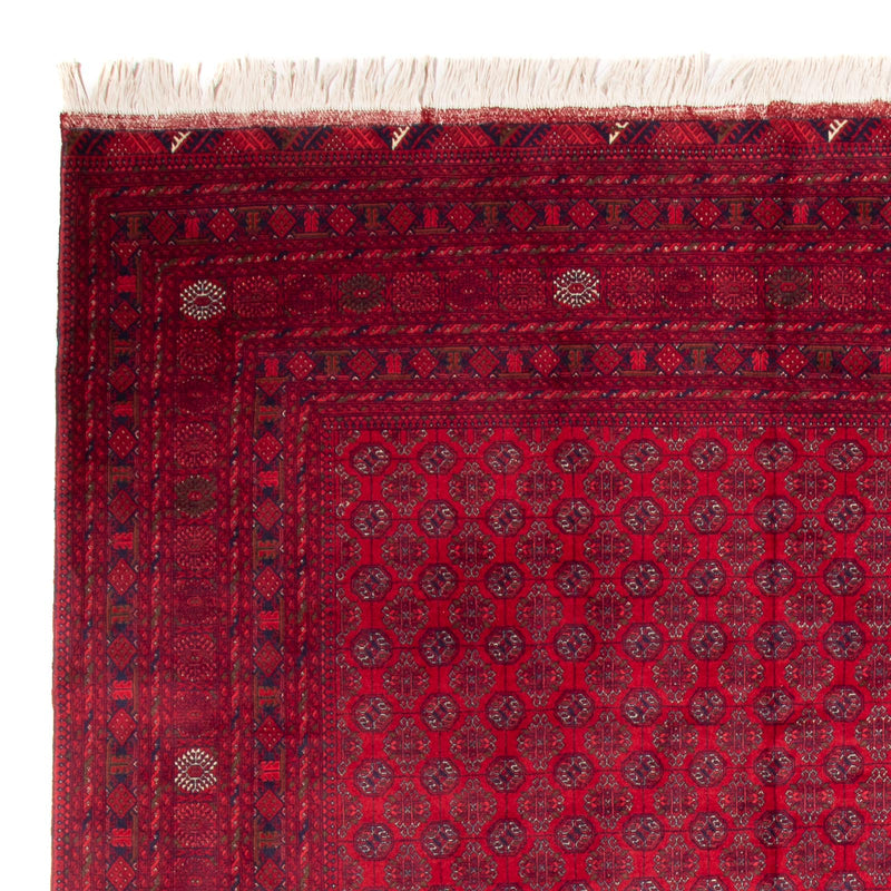 Tappeto afgano - Bukhara - 340 x 240 cm - rosso