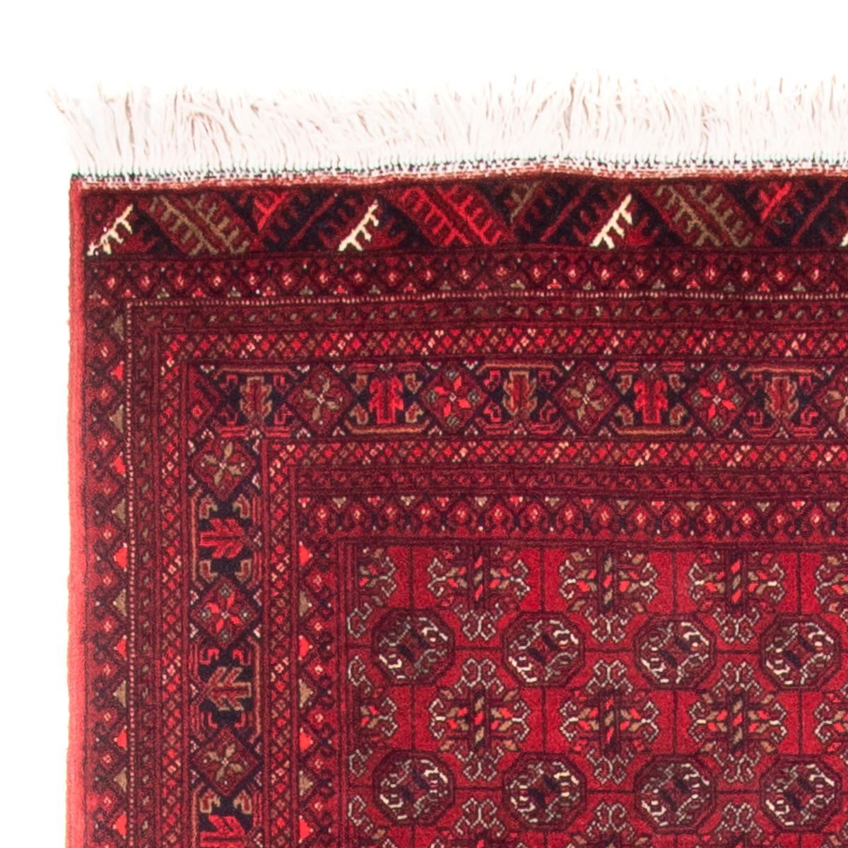 Tappeto corsia Tappeto afgano - Bukhara - 290 x 80 cm - rosso