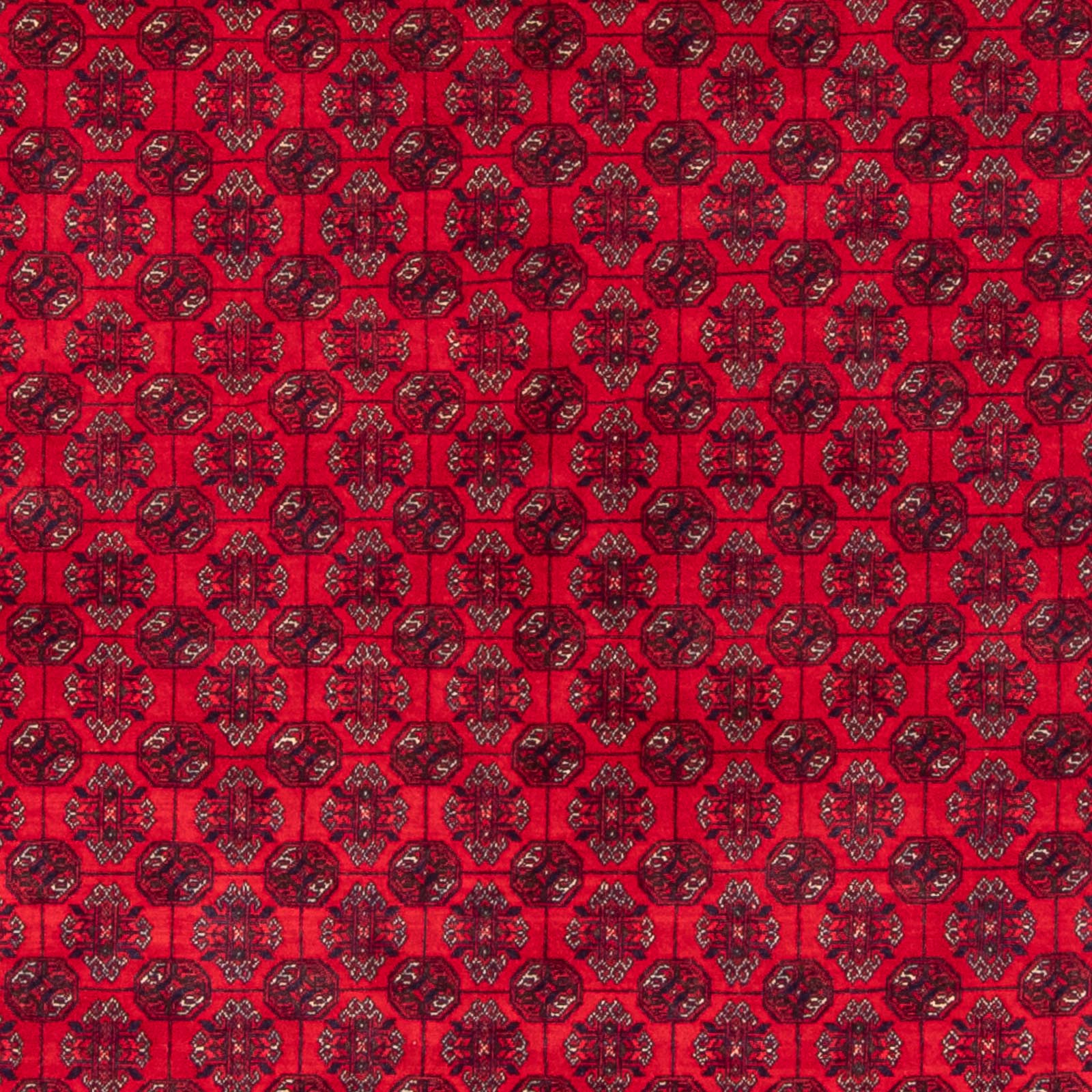 Tappeto afgano - Bukhara - 290 x 196 cm - rosso