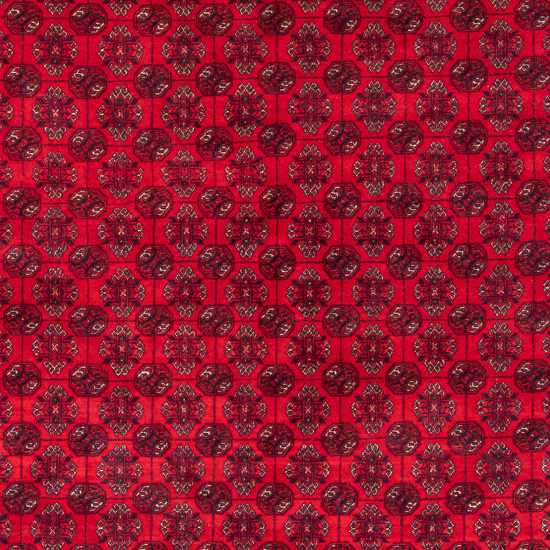Tappeto afgano - Bukhara - 290 x 196 cm - rosso