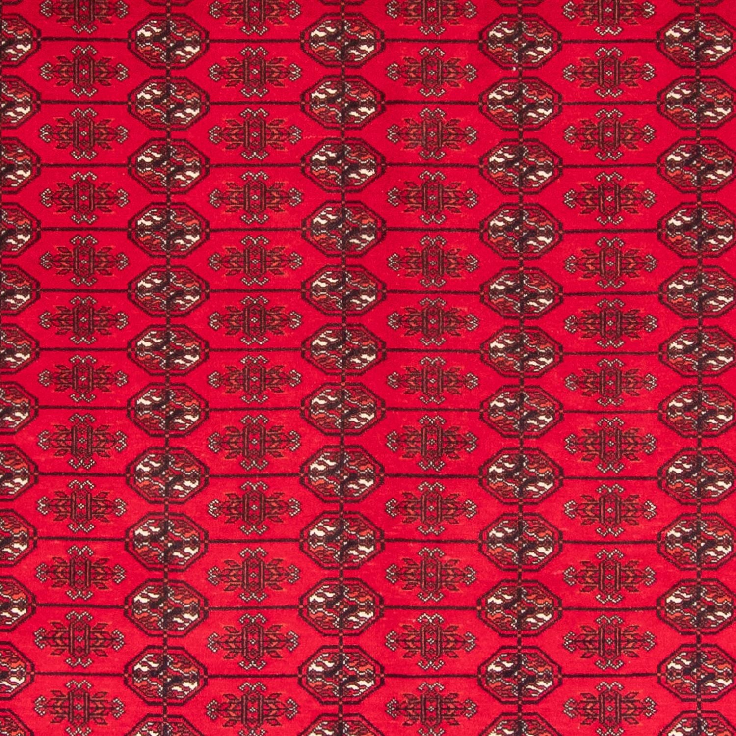 Tappeto afgano - Bukhara - 282 x 200 cm - rosso