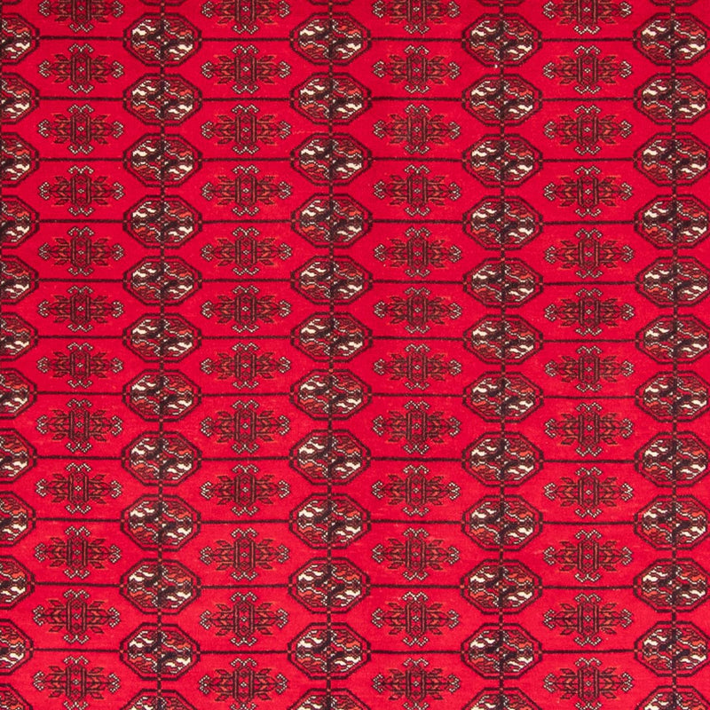 Tappeto afgano - Bukhara - 282 x 200 cm - rosso