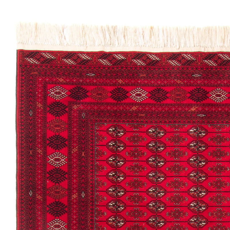 Tappeto afgano - Bukhara - 282 x 200 cm - rosso