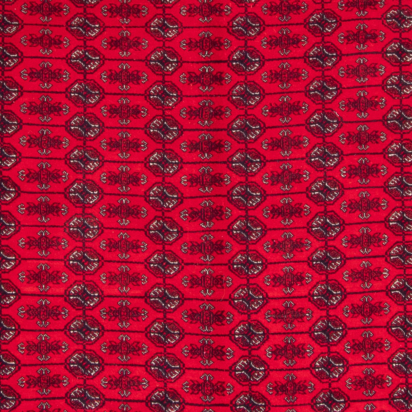 Tappeto afgano - Bukhara - 292 x 200 cm - rosso