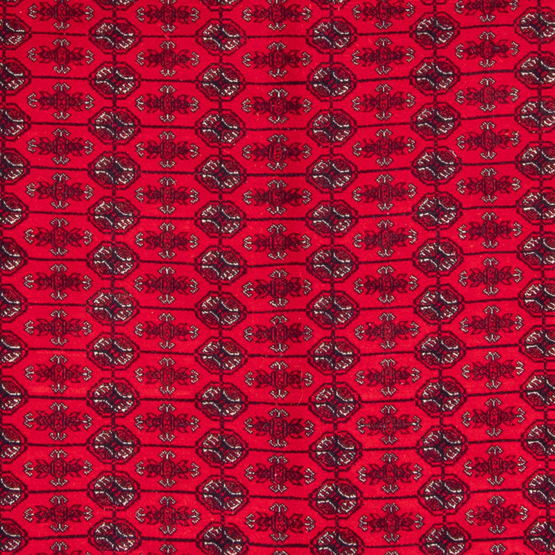Tappeto afgano - Bukhara - 292 x 200 cm - rosso