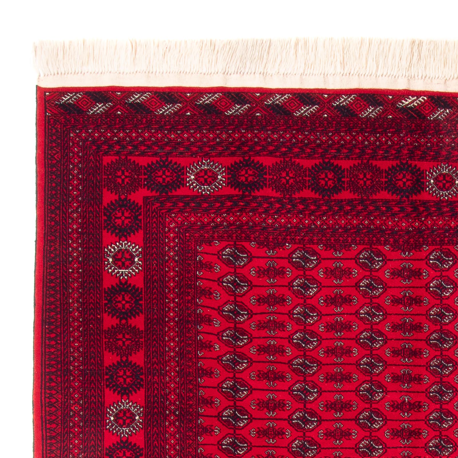 Tappeto afgano - Bukhara - 292 x 200 cm - rosso