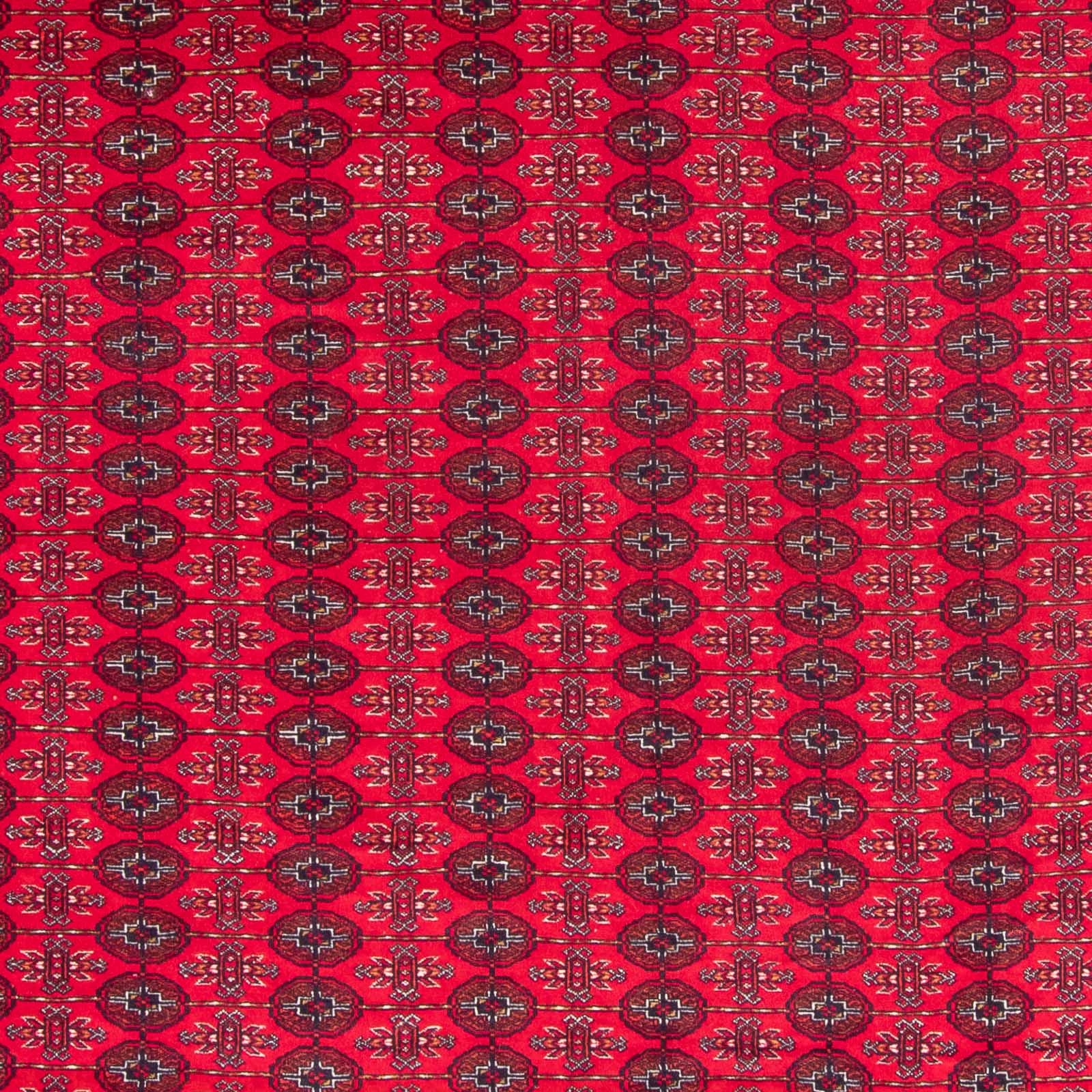 Tappeto afgano - Bukhara - 370 x 300 cm - rosso