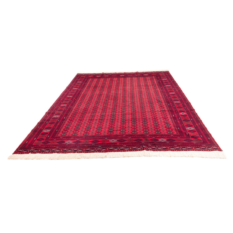 Tappeto afgano - Bukhara - 370 x 300 cm - rosso