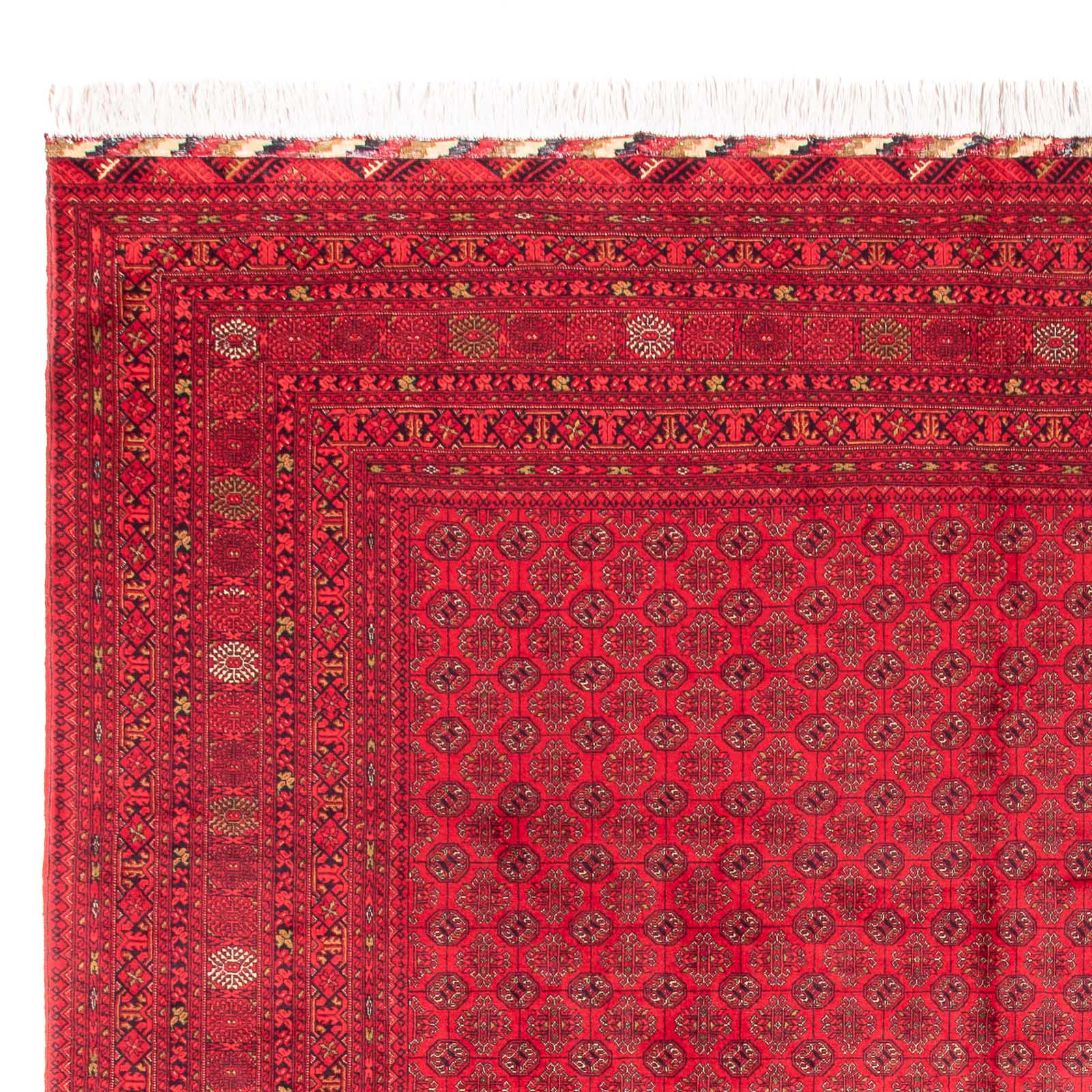 Tappeto afgano - Bukhara - 385 x 300 cm - rosso