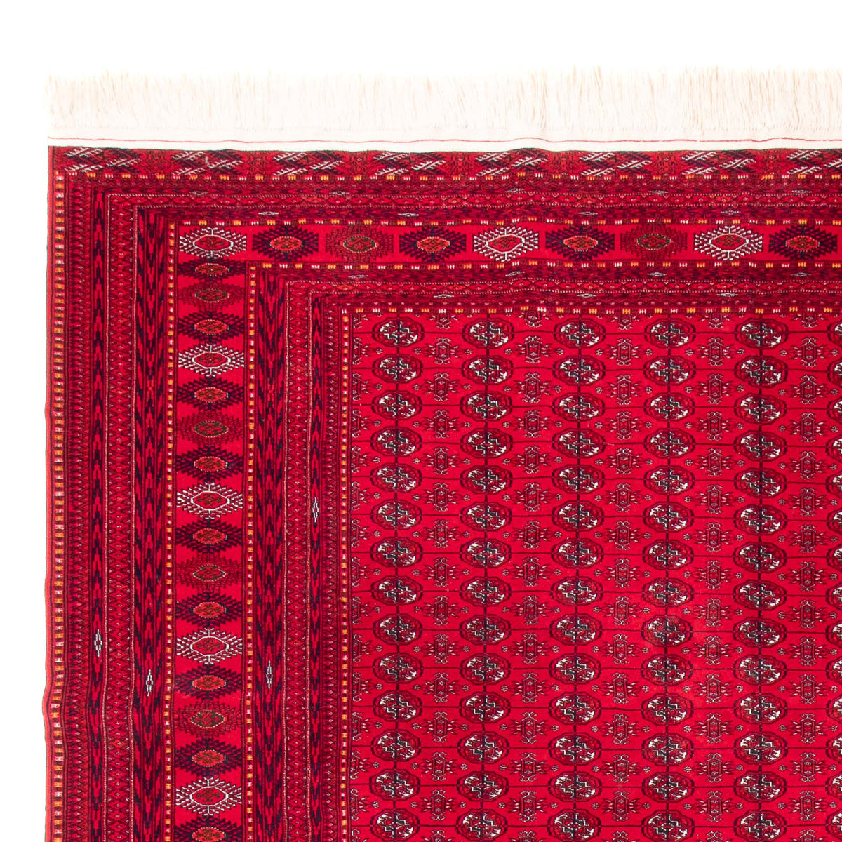 Bukhara Tappeto 310x395cm - Tappeto orientale