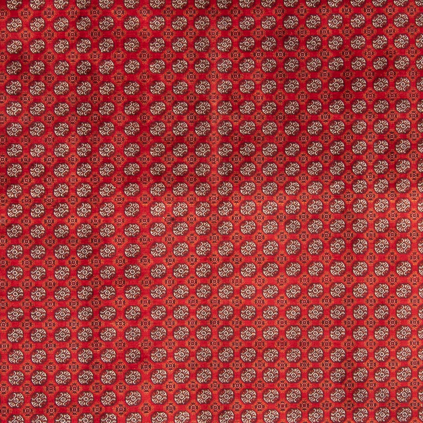 Bukhara Tappeto 375x300cm - Tappeto orientale