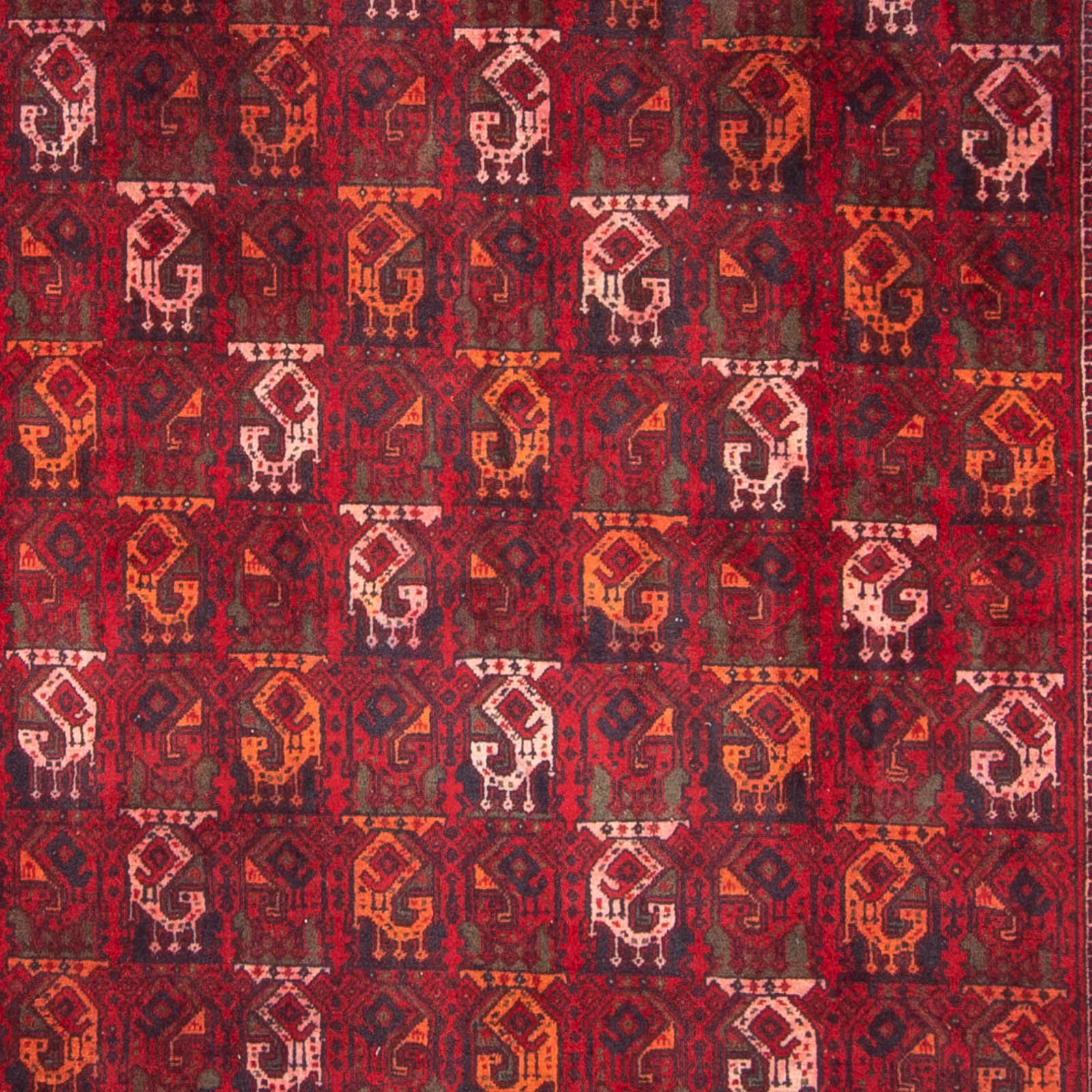 Tappeto afgano - 293 x 202 cm - rosso