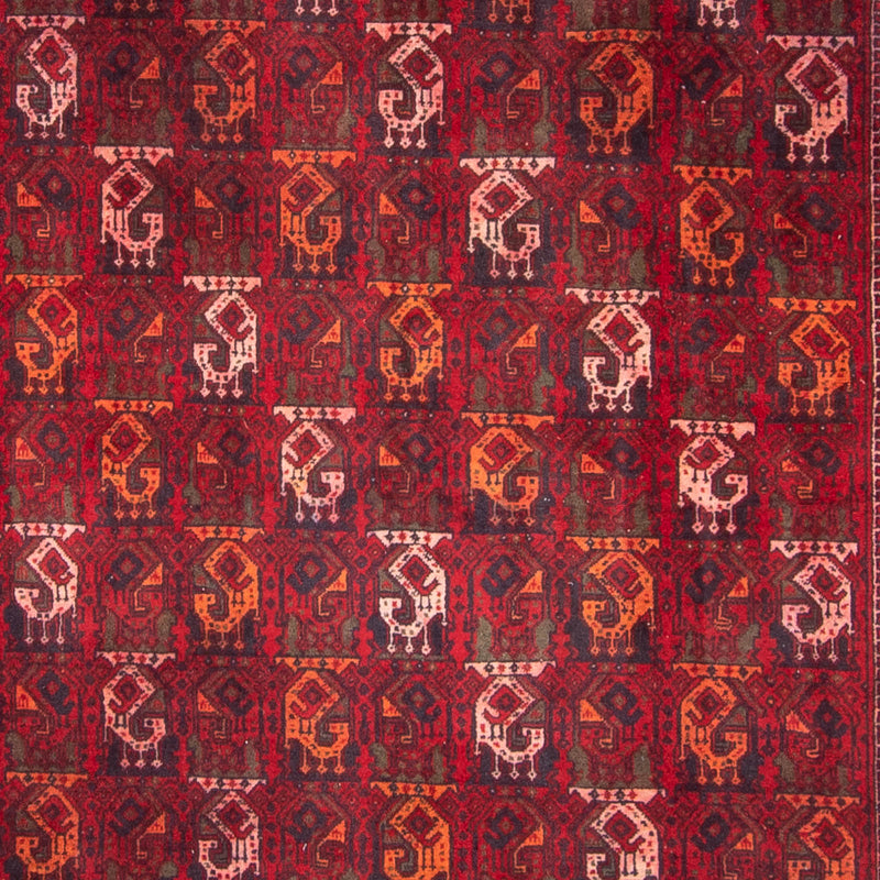 Tappeto afgano - 293 x 202 cm - rosso