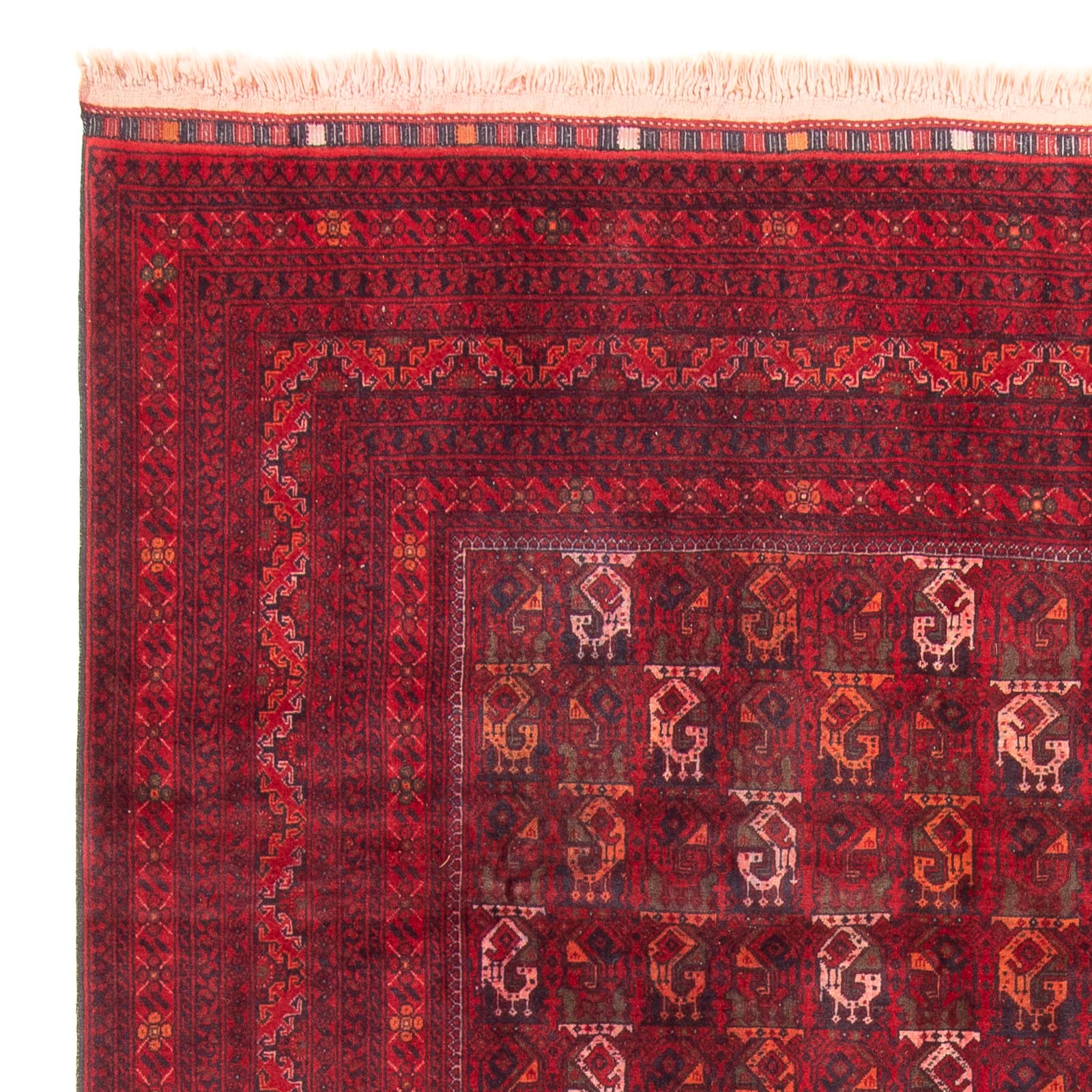 Tappeto afgano - 293 x 202 cm - rosso
